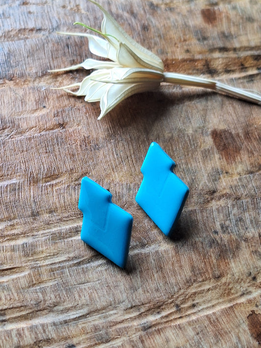 Puces d'oreilles Desma